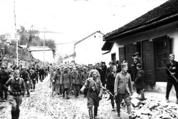 German Invasion of Yugoslavia, WW2, 1941 ( Video )